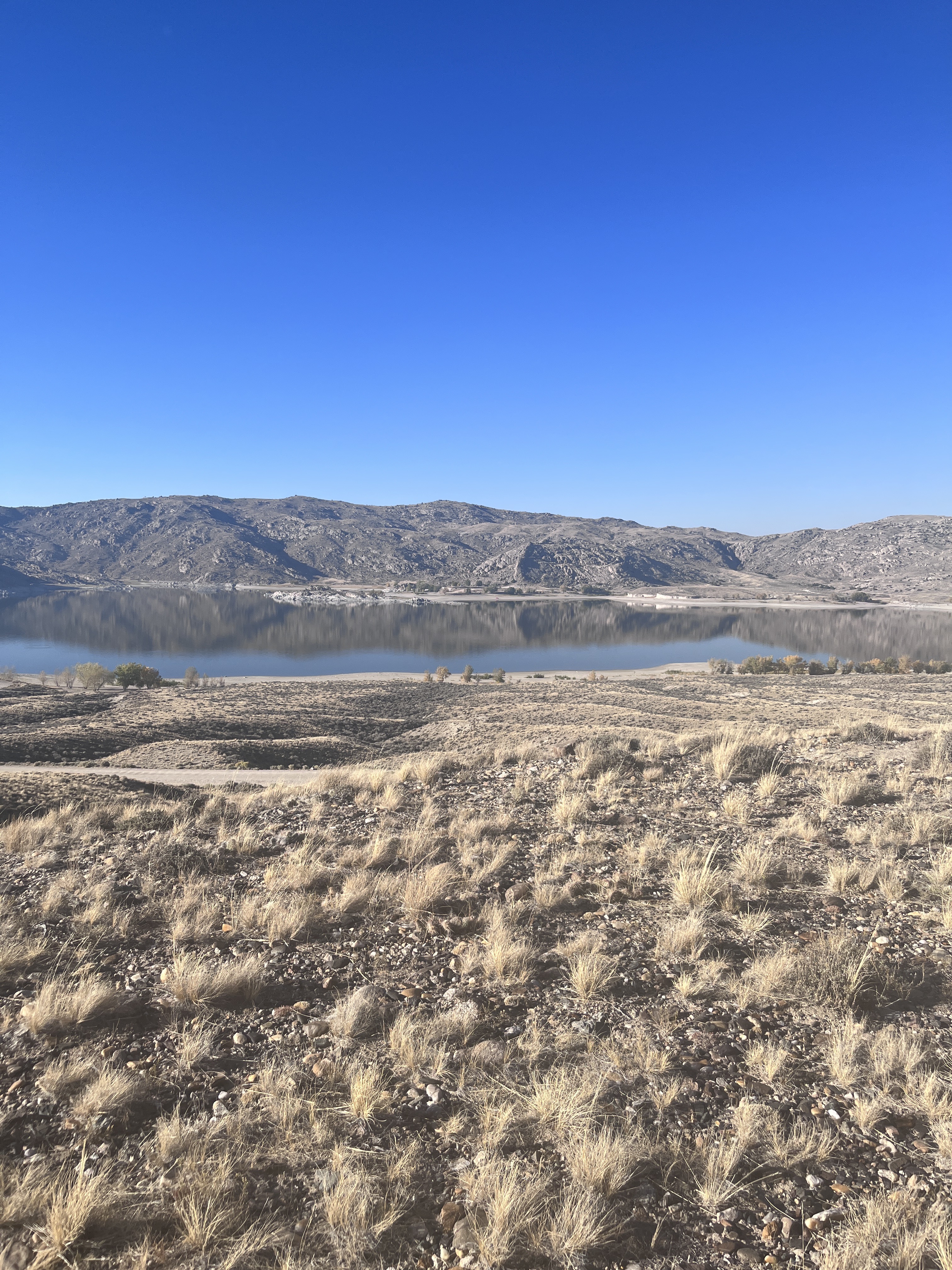 Coffee, Children and Craziness